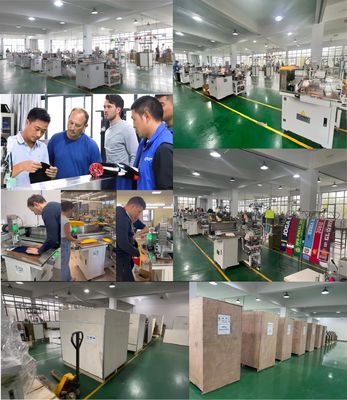 多功能で耐久性のある自家製 オペック-300HS自動編み帽子縫製機