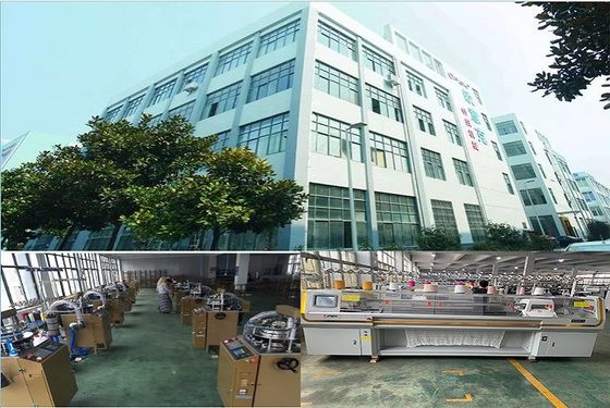1 1 キャリッジシステムを持つフラットタイプジャッカルド・カラーとマッシュフールの製造の編み機